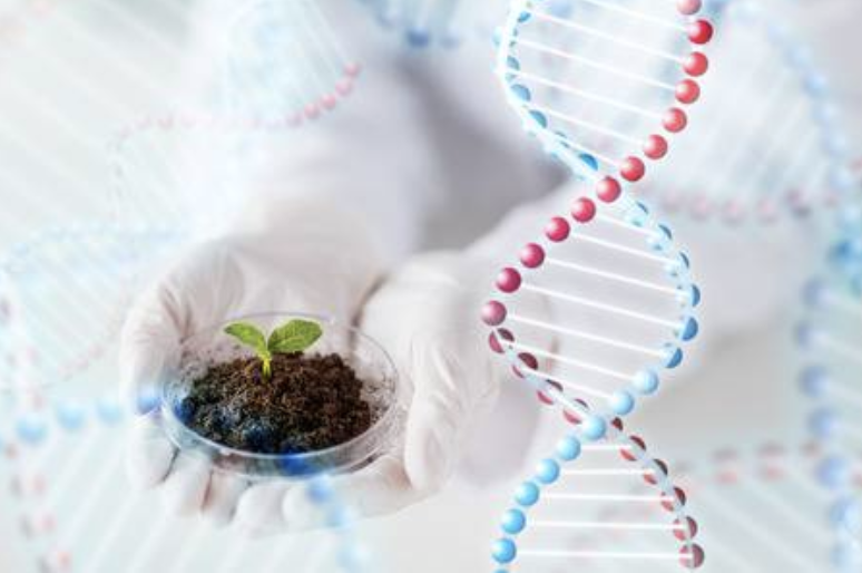 Inspiring Young Scientists
